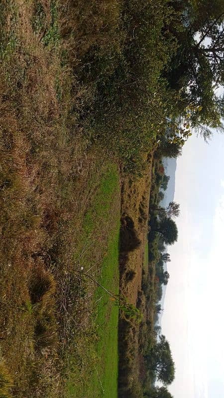 agricultural land property plots available for sale 3