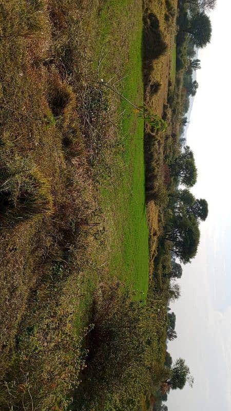 agricultural land property plots available for sale 5