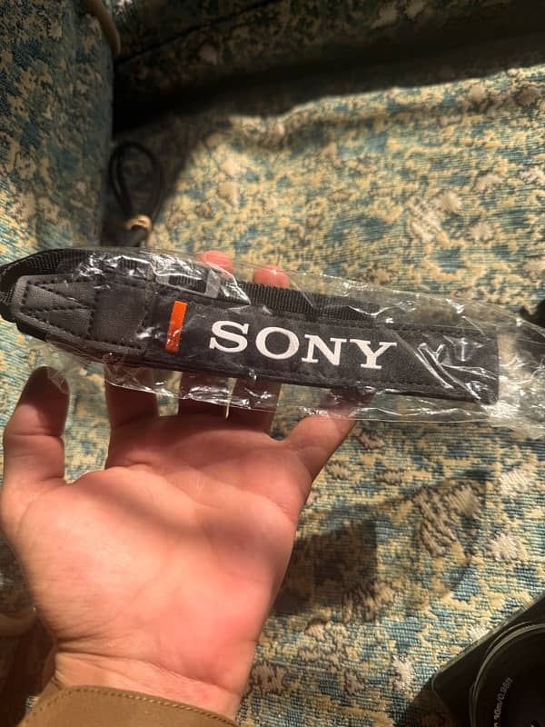 Sony ZVE10 video vloging camera 12