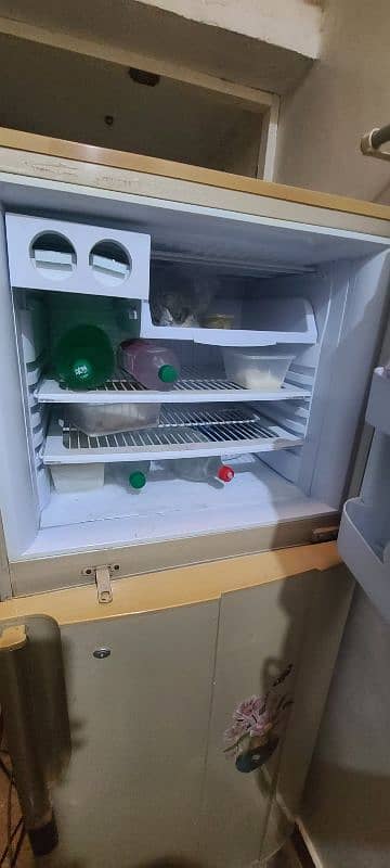 Pel Refrigerator 1