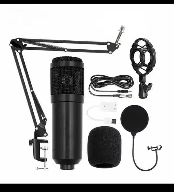 BM800 Professional Condenser Mic 1