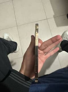 IPHONE 12 Pro Golden Colour