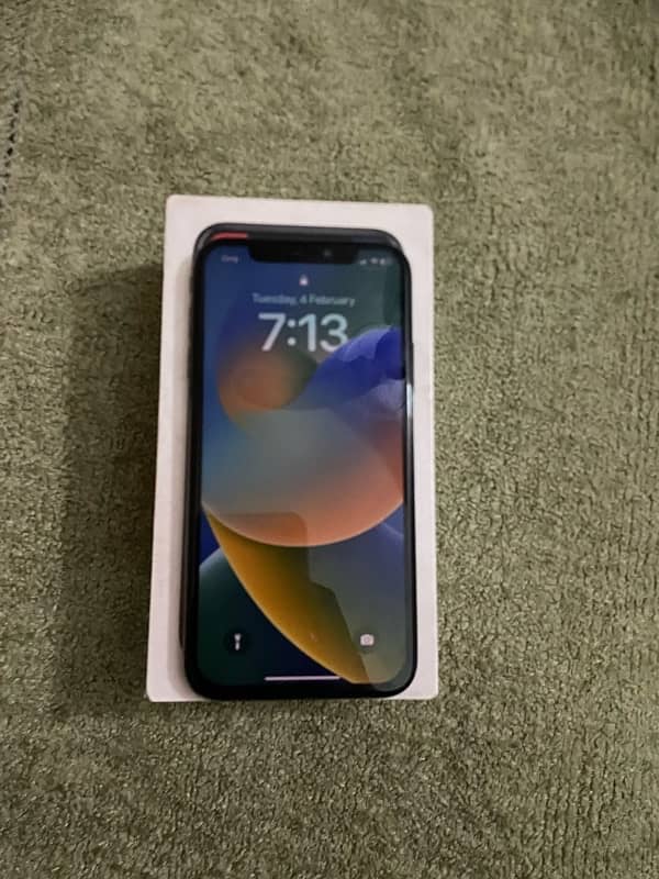 iphone x Pta approved 1