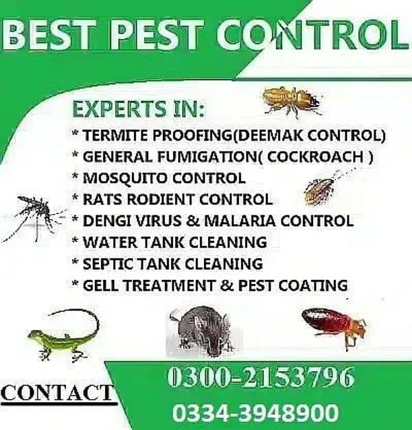 General Fumigation Termite Treatment Pest control services in karachi 9