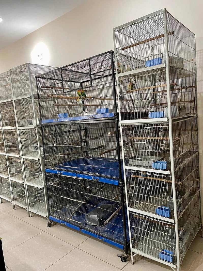 Cage/ Bird cage/ cage for sale / pinjra /iron cage /lovebird cage 3