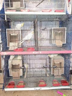 birds big size cage