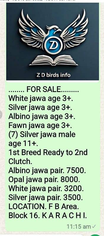 Herry up. Jawa chicks Available . 3+. Check Description 1