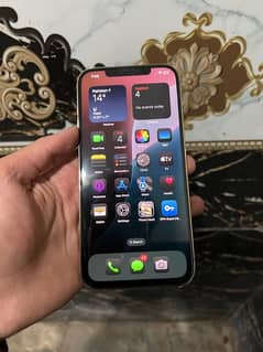 I phone 12 pro max