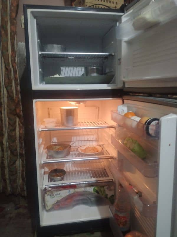 pel fridge 2