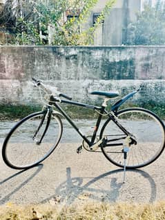 Bicycle road speed