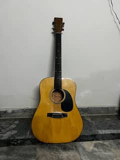 Acoustic Guitar