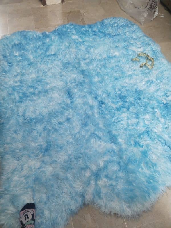 Fluffy Rug 1