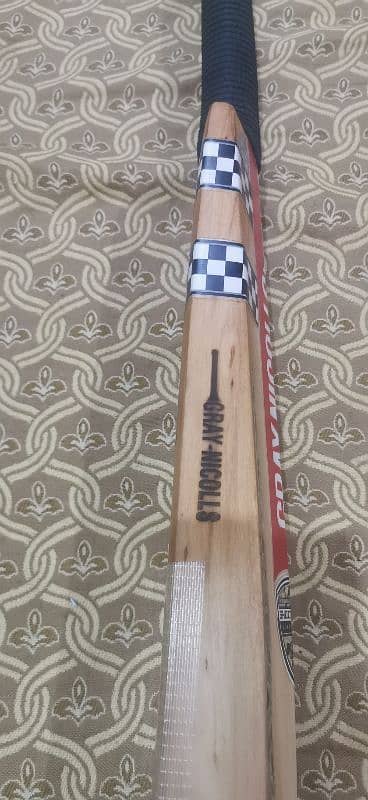 GREY NICOLLS CRICKET BAT 5