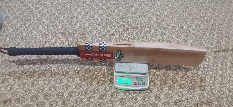 GREY NICOLLS CRICKET BAT 12