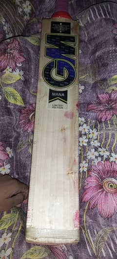 English Willow hard ball bat