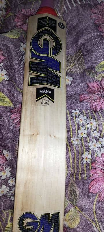 English Willow hard ball bat 1