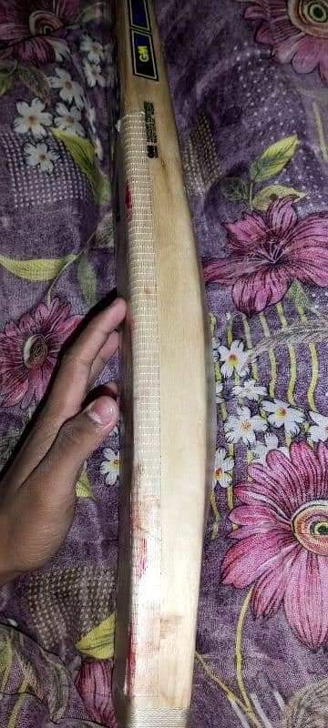 English Willow hard ball bat 3