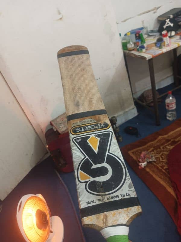 cricket bat 1