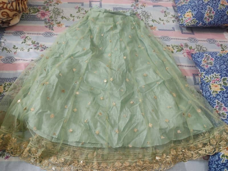 Lehnga Choli 7