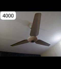 2 celling fan