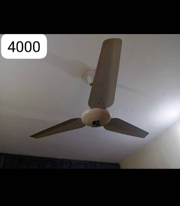 celling fan 4 2