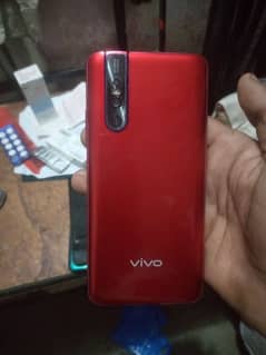 vivo