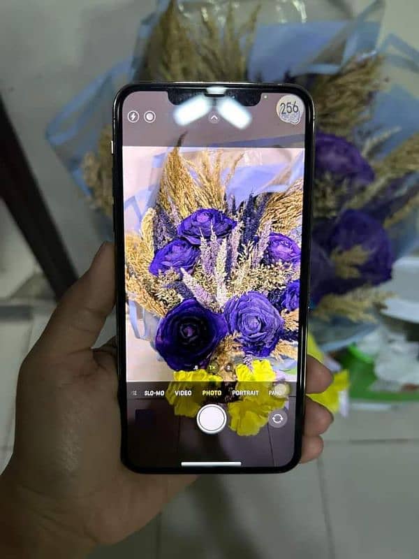 I phone 11 pro Max 256 GB 03404452657 my Whatsapp number 1