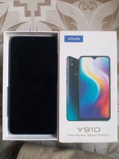 Vivo