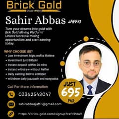 Gold Brick Offers full time part time Job and Paid Daily basis