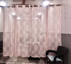 Curtain