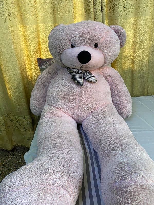 beautiful cute teddy for sell 0