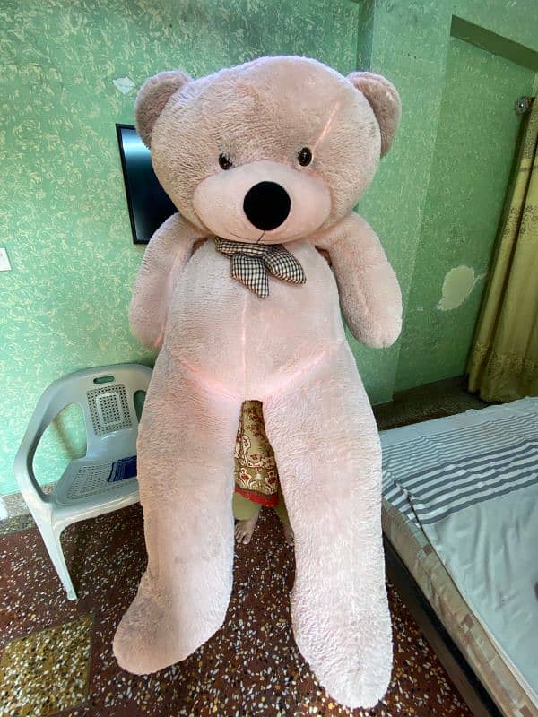 beautiful cute teddy for sell 3