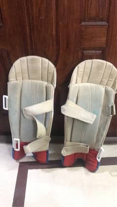 wicket keeping gloves and pads