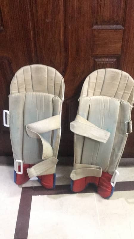 wicket keeping gloves and pads 0