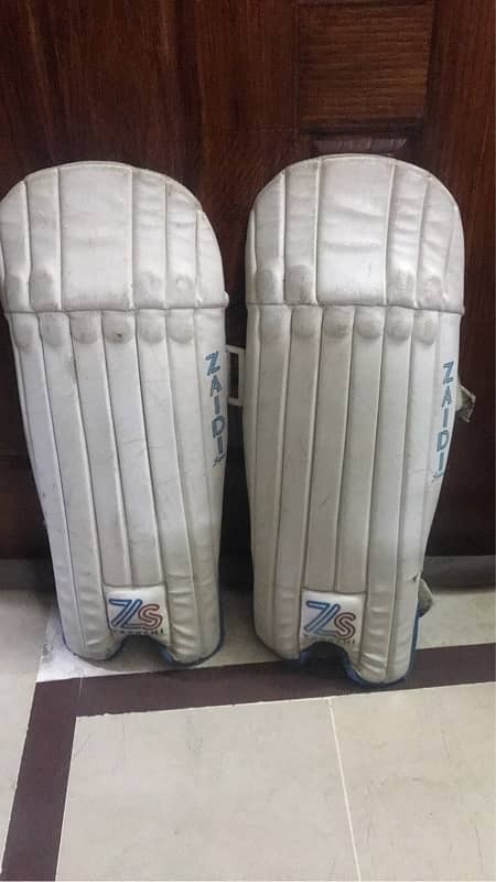 wicket keeping gloves and pads 1