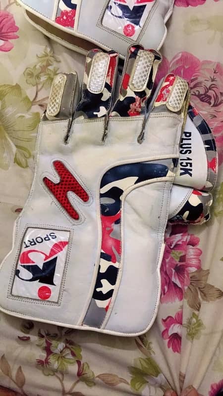 wicket keeping gloves and pads 2