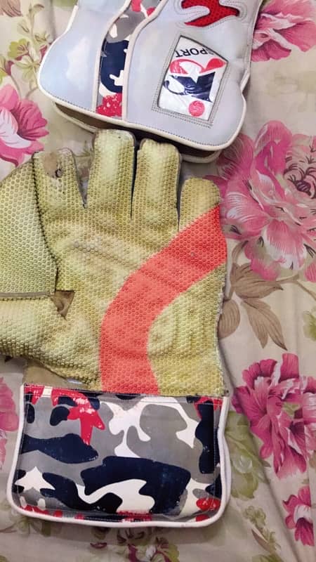 wicket keeping gloves and pads 3