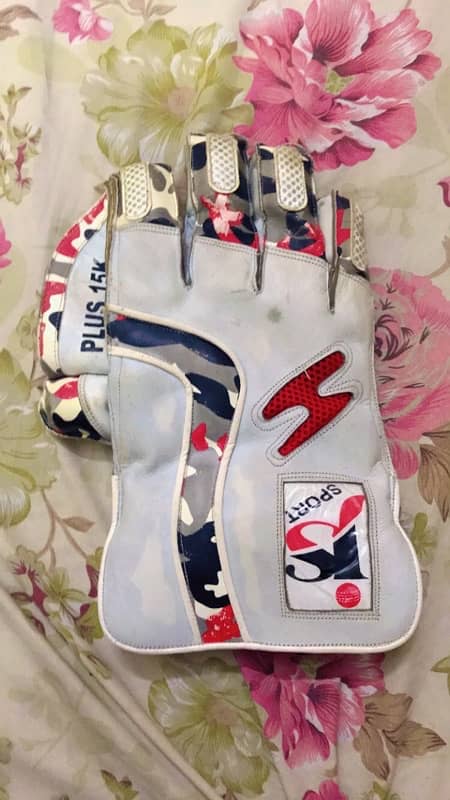 wicket keeping gloves and pads 4