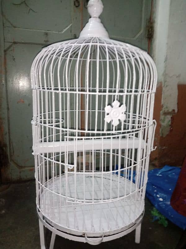 raw parrot cage 1