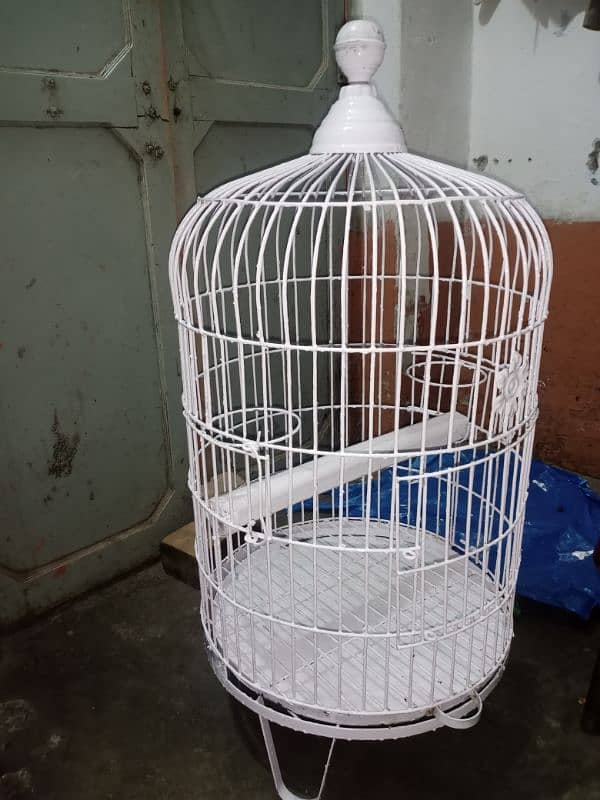 raw parrot cage 4