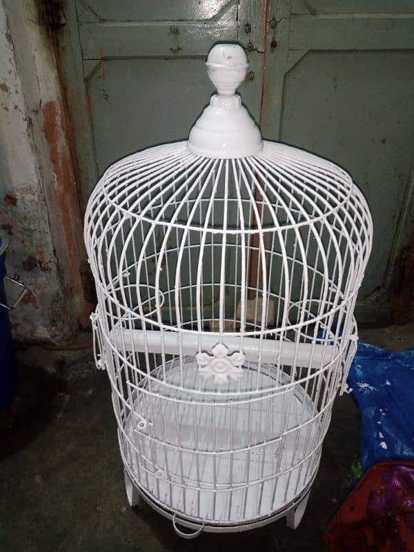 raw parrot cage 5