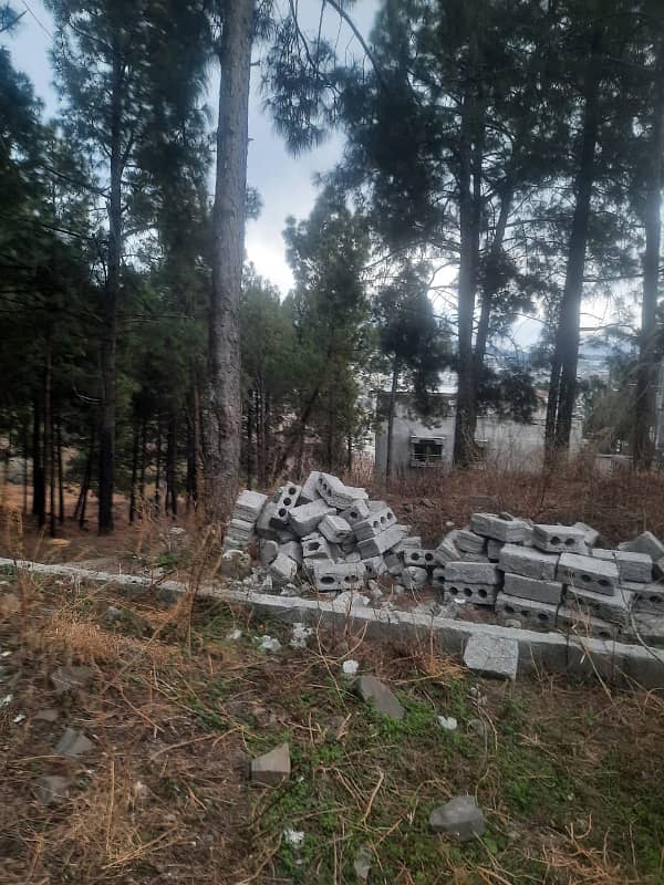 8 marla plot for sale at Mehtab abbasi Road 4