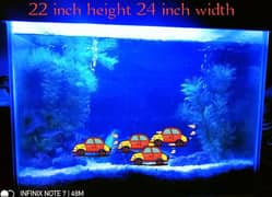 Aquarium for Sale