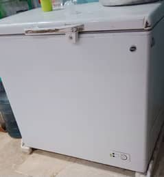 (PEL) DEEP FREEZER SINGLE DOOR AS LIKE NEW.