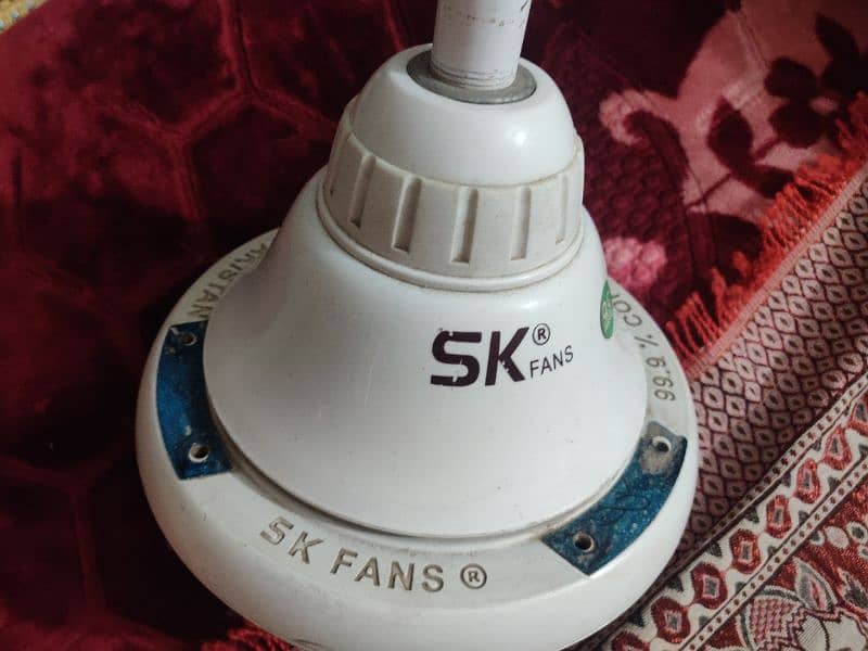 SK FAN FULL SIZE 2