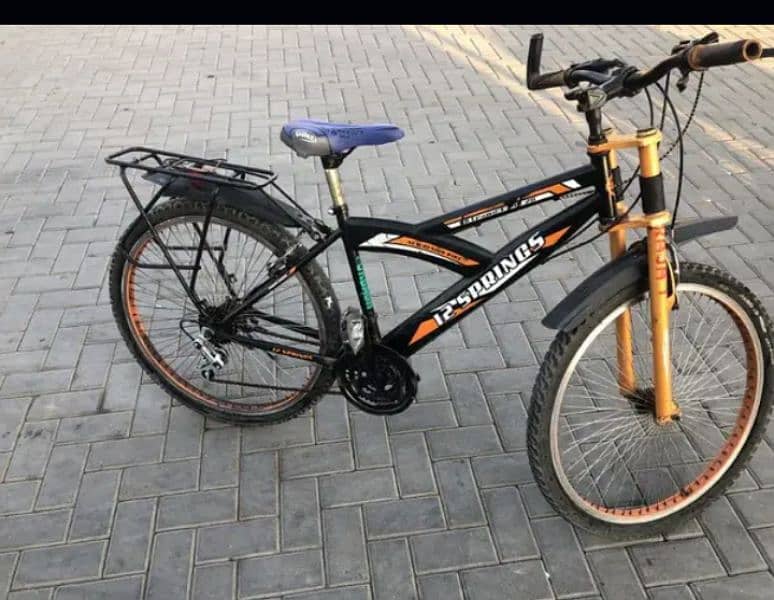 Affordable Ride: 12 Springs Full-Size Bicycle 3