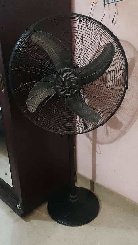 genuine fan 0