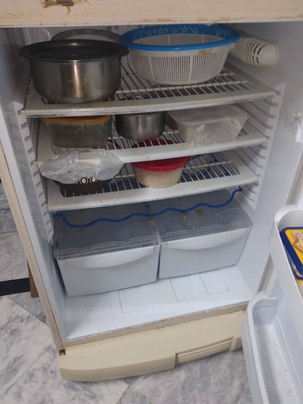 PEL FRIDGE FOR SALE 2