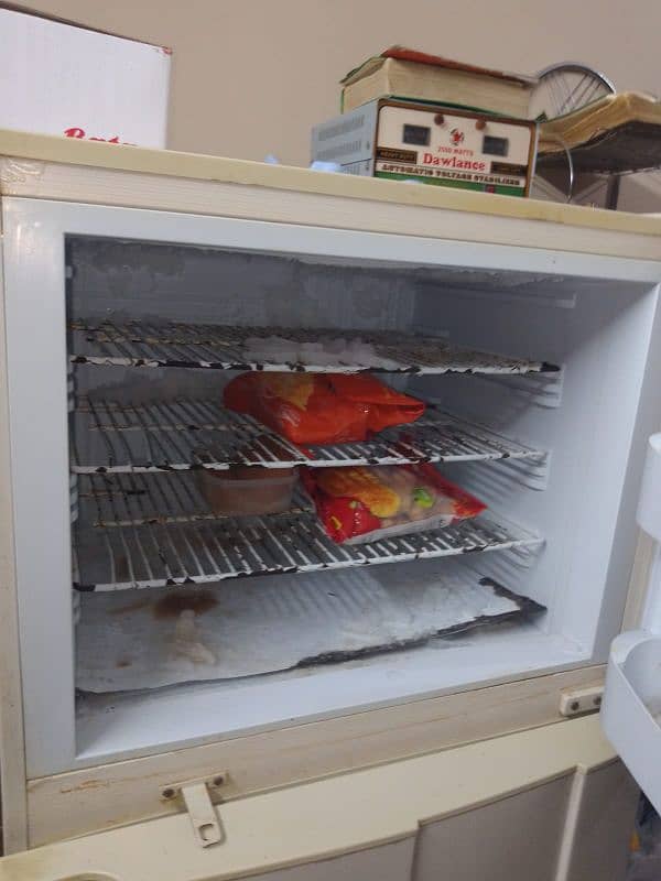 PEL FRIDGE FOR SALE 4