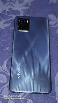 Vivo